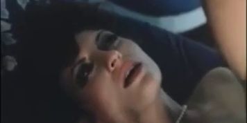 A Sex Affair With Harry Reems