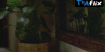 Rebecca De Mornay Breasts Scene  in And God Created Woman