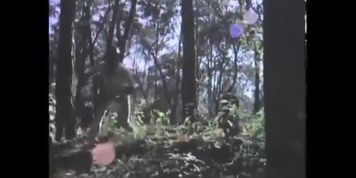 Yako, Cazador De Malditos