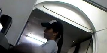 Paja en ciber1