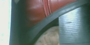 Cock trample