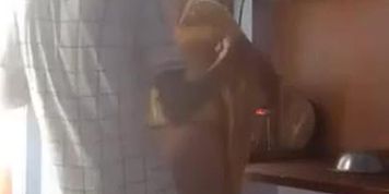 VERY NICE SEX