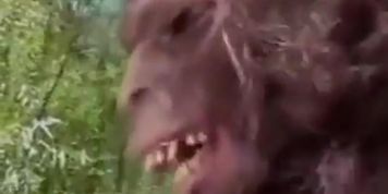 bigfoot takes the ass