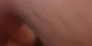 Xlinkiranii   ??? ?????? 