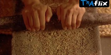 Lumi Cavazos Breasts Scene  in Like Water For Chocolate