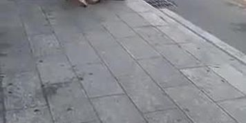Chinese catfight