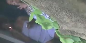 next door neighbor 2