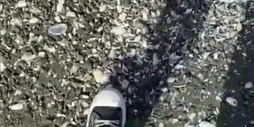 Crunchy under my feet 