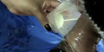 Deepthroat Jenny & Laury