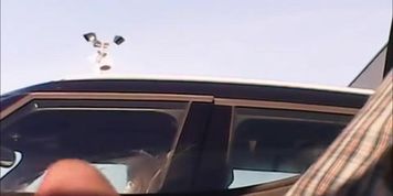 Flash car - Video 1