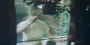 Danish Vintage - video 24