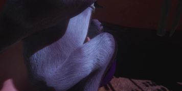 Wild Life - Shey x Goat