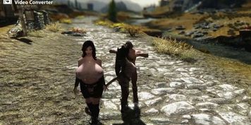 Skyrim -newest Furry Character and ENB RealVision -night Fall Comming