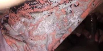 Desi bhabhi ne lund chuskar garam kar diya