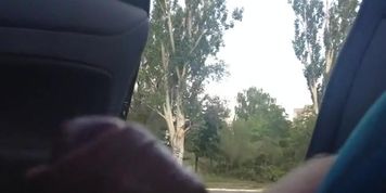 Car Dickflash Compilation 4