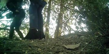 Public piss poster 12