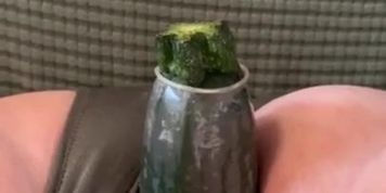 Zucchini 