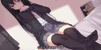 [????]??????RJ235149??????????????/???