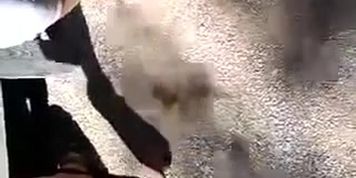 Public Feet 125