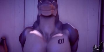DASHA AND HAMMERHEAD TEST THEIR SEXUAL STAMINA IN: MILITARY MIGHT