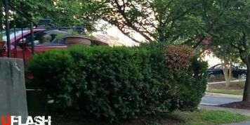 Flashing Neighbour (HD)
