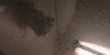 Cumshot