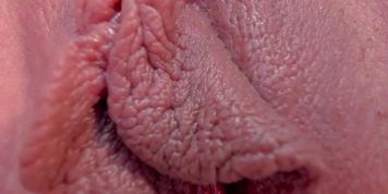 Close up of pussies