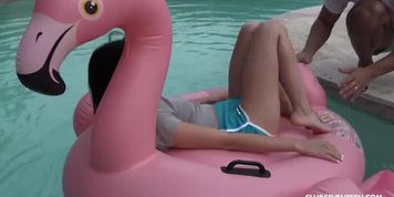 Feel my Flamingo