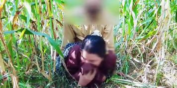 Abida Parveen Sex Video &ndash; Desi Bhabhi Fucked Rough From Behind In Field