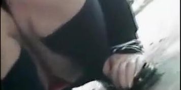 Dog Upskirt