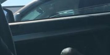 Car Flash MILF