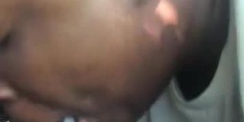 Quick Nut in The Park