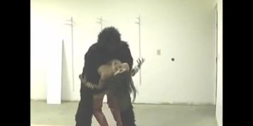 American Fox vs Gargantua