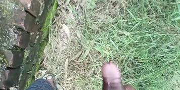Mukul