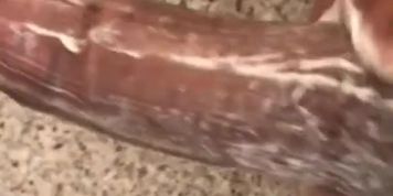 Clean Daddy Cock (Daddy Dick)