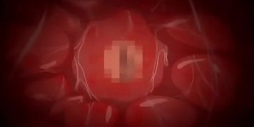Hentai Impregnation Mashup