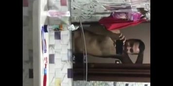??? ????? ?????? ??? ????? ?????? Egyptian Sex