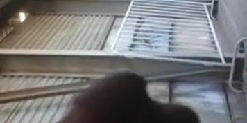 Dickflash for 2 Shocked Teens