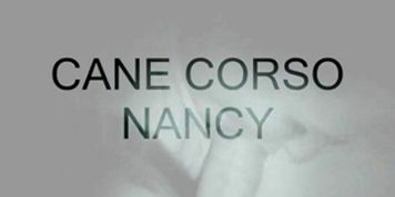 nancy gets anal 1 (Julia Hayes)