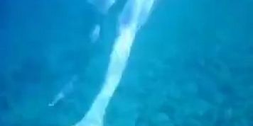 Topless thick MILF under the water for voyeurs