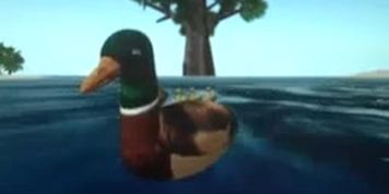 ducks rotate