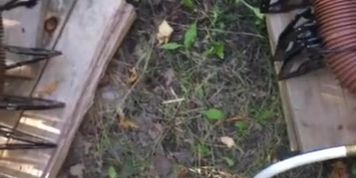 POV of me pissing all over the Septic Hose from the camper.