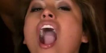 PMV 1