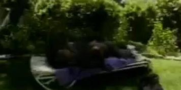 monique the black porn star