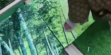 ????????????????4P???????????????????????????????????