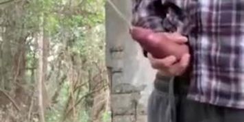 Pissing outdoors with a gorgeous rough uncut cock