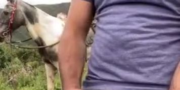Chacal verg&oacute;n