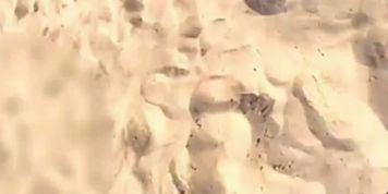 il leche une chatte a la plage - video 1