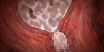 Saga Jutaijima (Sex Scenes)