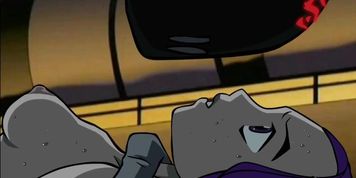 Teen Titans - Sladed